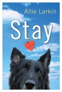 stay-cover-large